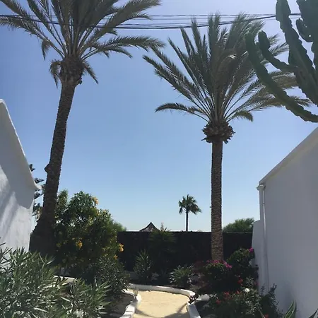 Oasis San Antonio פוארטו דל כרמן